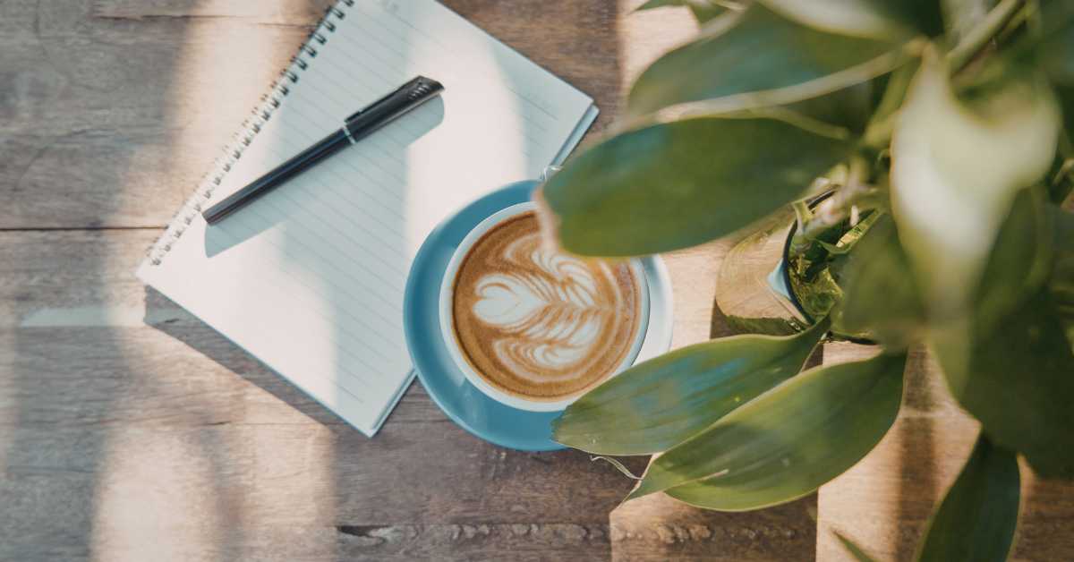 Adaptogene Drinks mit Ashwagandha, Reishi und Lion's Mane als moderne Wellness-Getränke