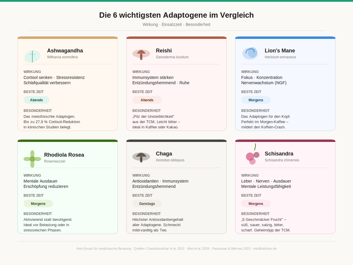Infografik: Die 6 wichtigsten Adaptogene im Vergleich – Ashwagandha, Reishi, Lion's Mane, Rhodiola, Chaga und Schisandra mit Wirkung, bester Einnahmezeit und Besonderheit