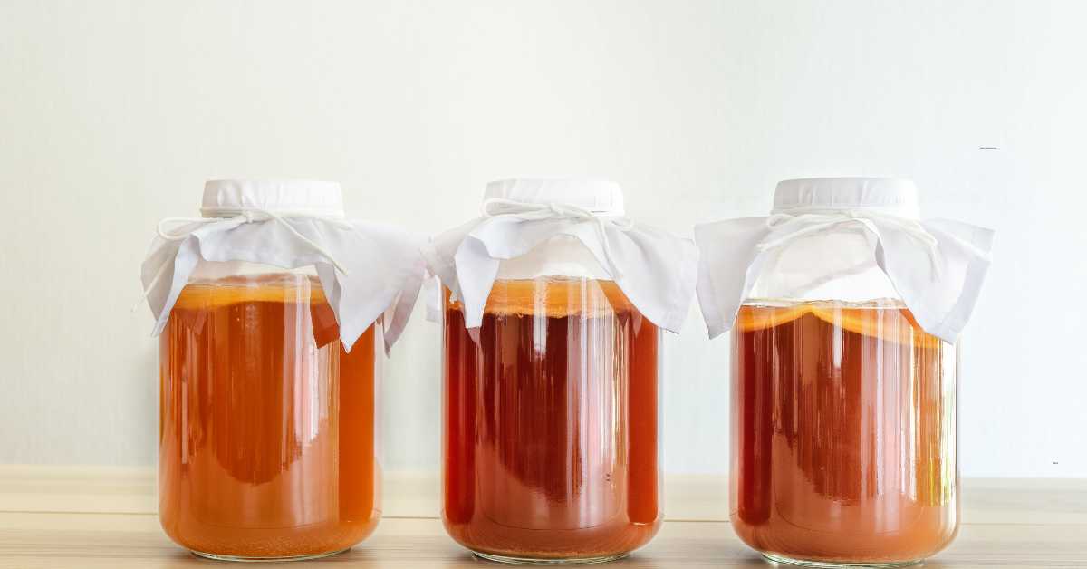 Vergleich gekaufter und selbst gebrauter Kombucha in zwei Gläsern nebeneinander