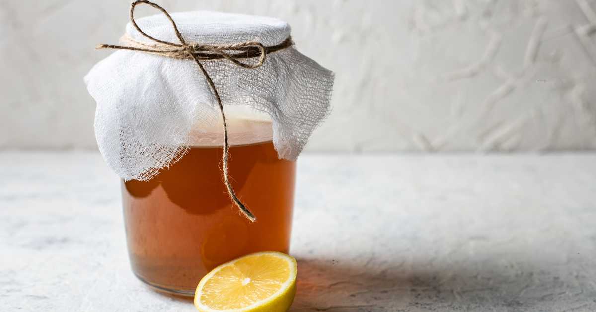 Glas Kombucha mit sichtbarem SCOBY im Hintergrund