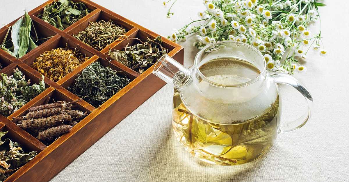 Drei Tassen nebeneinander: grüner Tee, Matcha und Schwarztee im Vergleich
